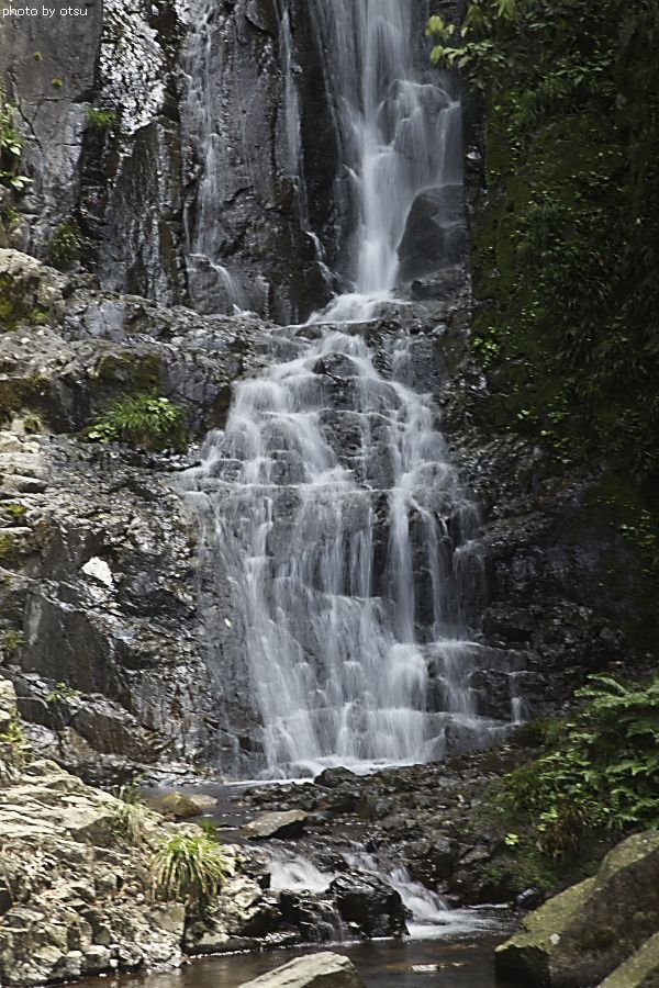 b0098362_6212291.jpg