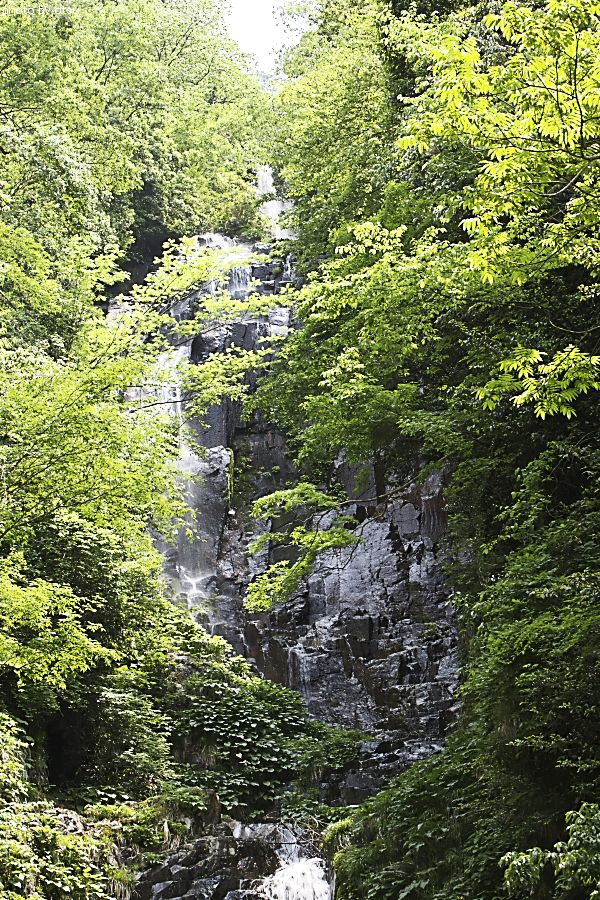 b0098362_622219.jpg