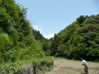 f0055264_2013188.jpg
