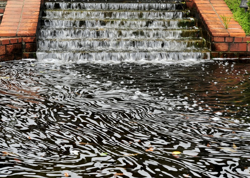 b0131167_11512558.jpg