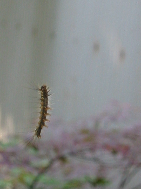 d0094868_1944857.jpg