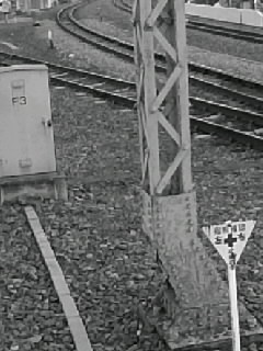 f0100480_12291587.jpg