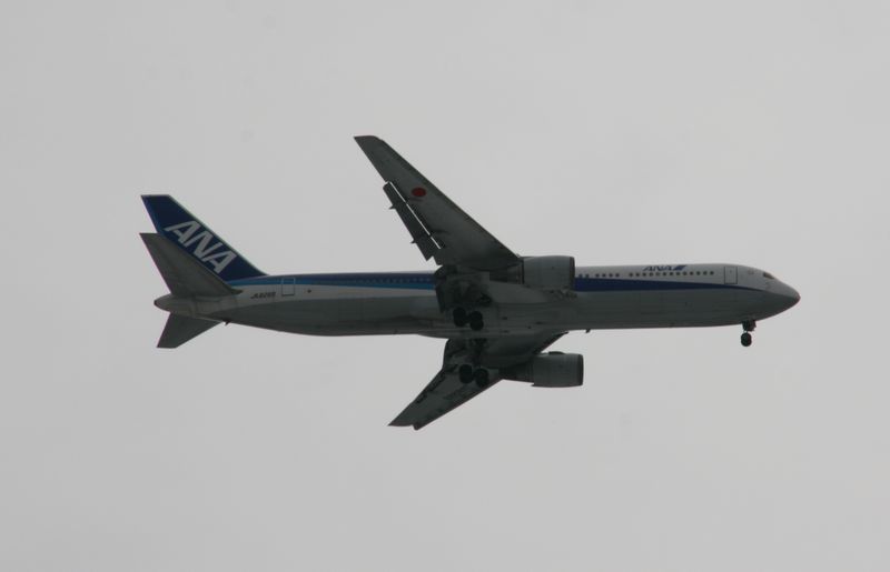 c0148781_8402942.jpg