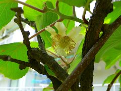 b0042882_17585794.jpg