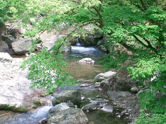 f0089285_1949177.jpg