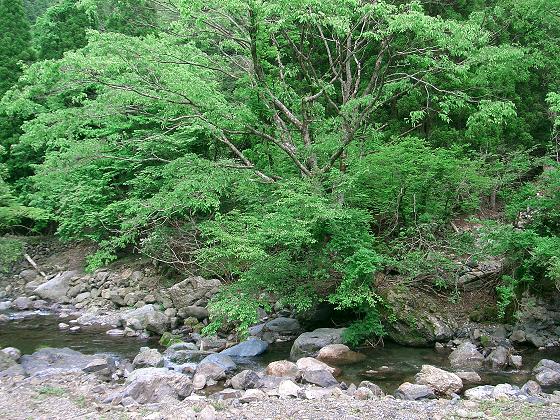 f0089285_1953820.jpg