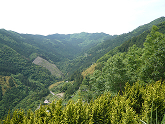 e0066586_1020063.jpg