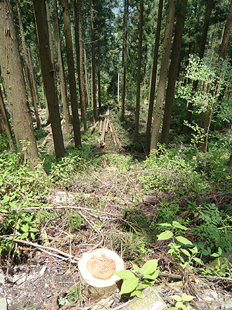 e0066586_10201335.jpg