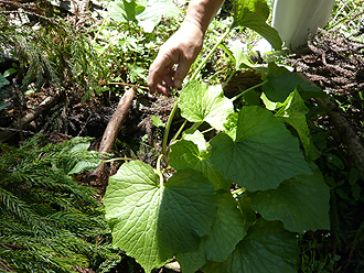 e0066586_10203327.jpg