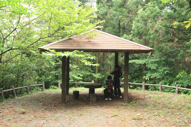 e0151486_19383849.jpg