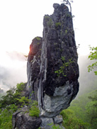 c0018489_15394225.jpg