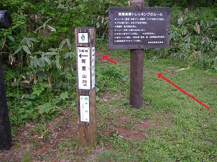 f0202990_21482727.jpg