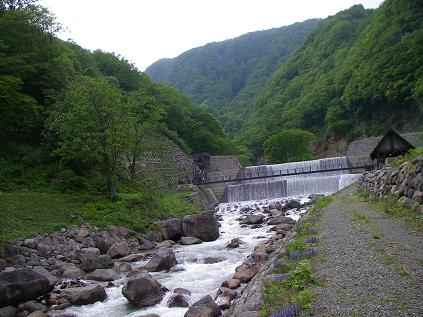 f0202990_215413100.jpg