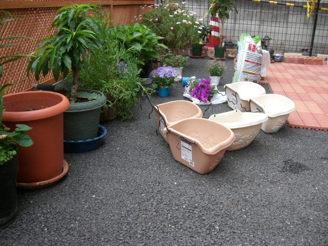 a0119591_1161378.jpg