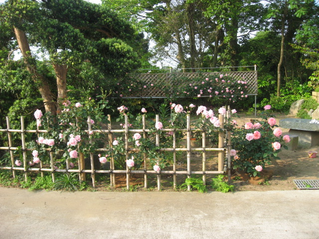 e0140491_20494424.jpg