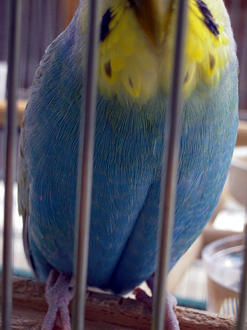 d0131293_16153716.jpg
