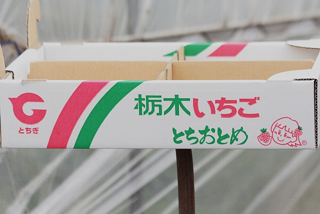 d0133693_17475379.jpg