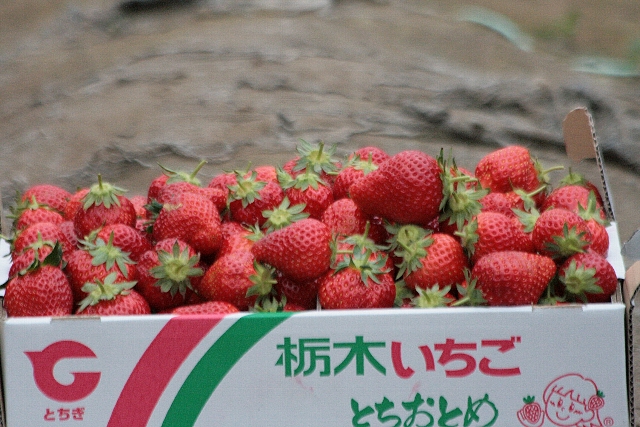 d0133693_1748204.jpg