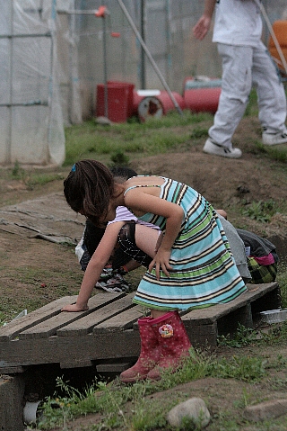 d0133693_17483832.jpg
