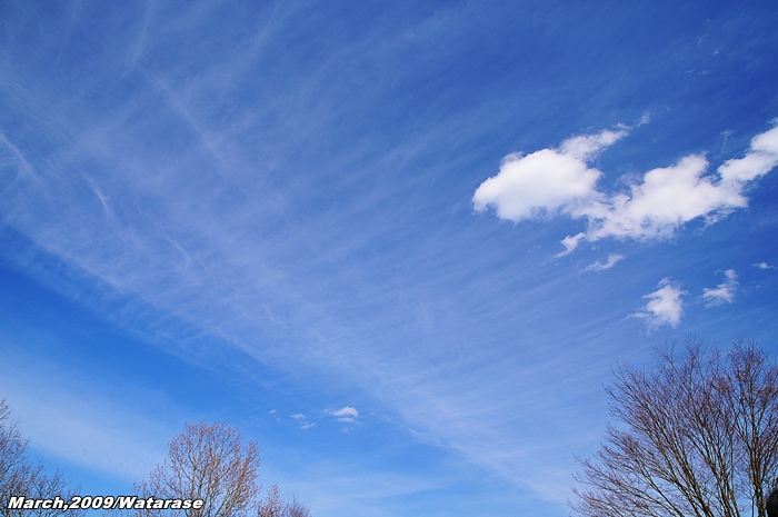 a0103596_22362864.jpg