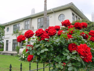 b0145398_18423686.jpg