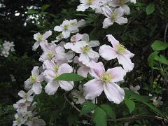 f0013998_18194870.jpg