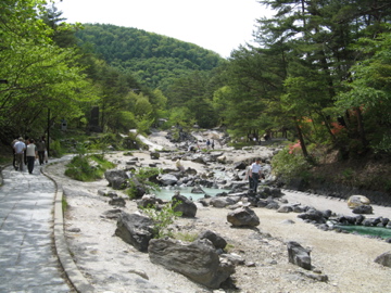 a0117599_0364198.jpg