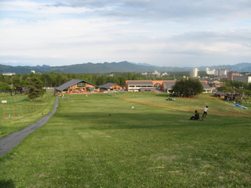 a0117599_0503883.jpg