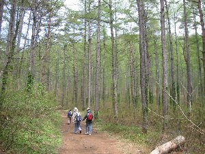 e0122199_0019.jpg