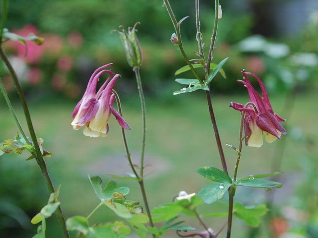 e0025300_22594081.jpg