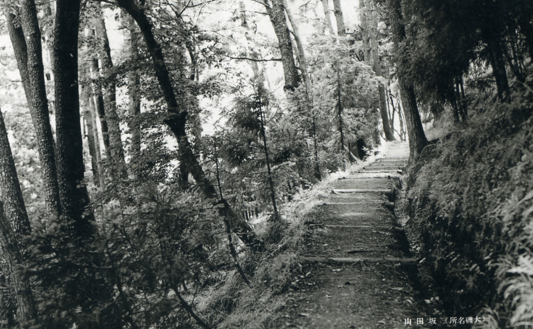 f0121300_2354650.jpg