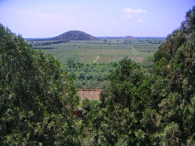 f0146802_8402386.jpg