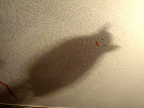 f0100505_1102824.jpg