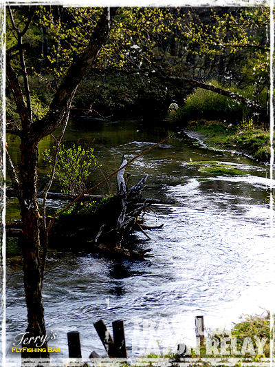 e0009009_2153685.jpg