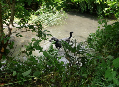 c0101713_2142668.jpg