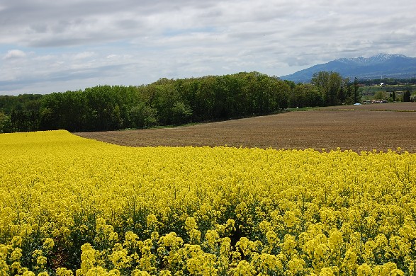 a0114514_19175017.jpg