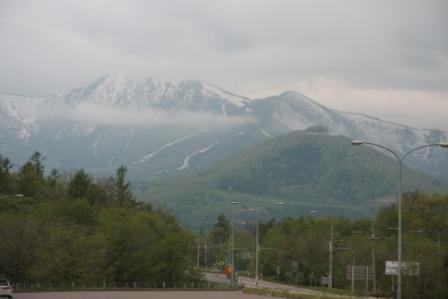 e0113915_813429.jpg