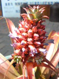 f0053615_23205724.jpg