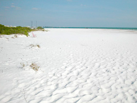 b0150018_20561018.jpg