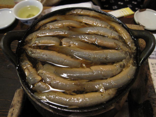 http://pds.exblog.jp/pds/1/200905/25/19/a0100919_18465728.jpg
