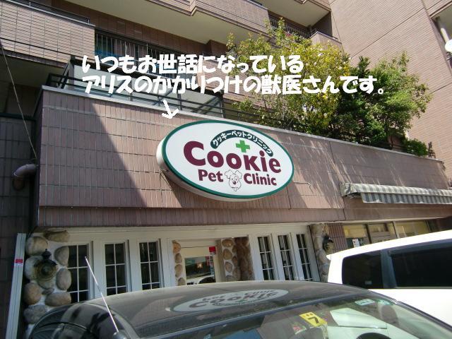 f0182121_1504443.jpg