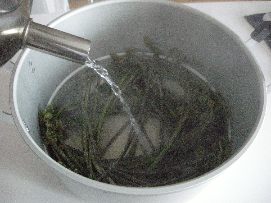 f0180226_146592.jpg