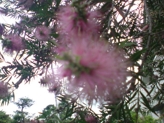 e0016828_20154394.jpg