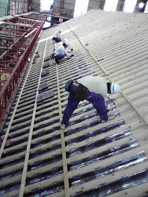 f0131929_10241229.jpg