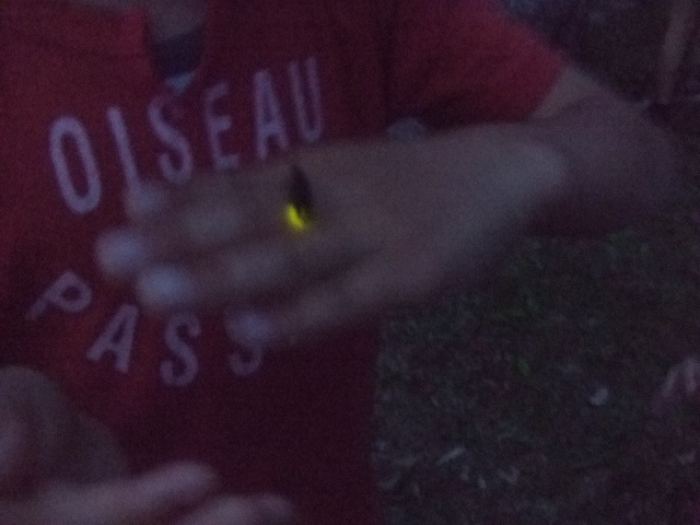 c0192133_12303384.jpg