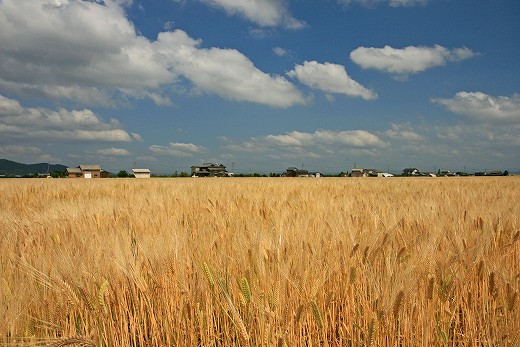 d0029333_175013100.jpg