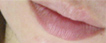 e0066135_88797.jpg