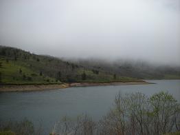 b0024439_8572970.jpg