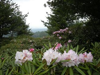 b0024439_9463438.jpg