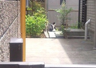 e0150843_1882997.jpg